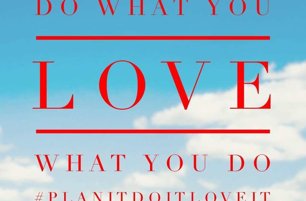 Sneak Peek Book Excerpt from Business Owners Guide: “Plan it! Do it! Love it!”